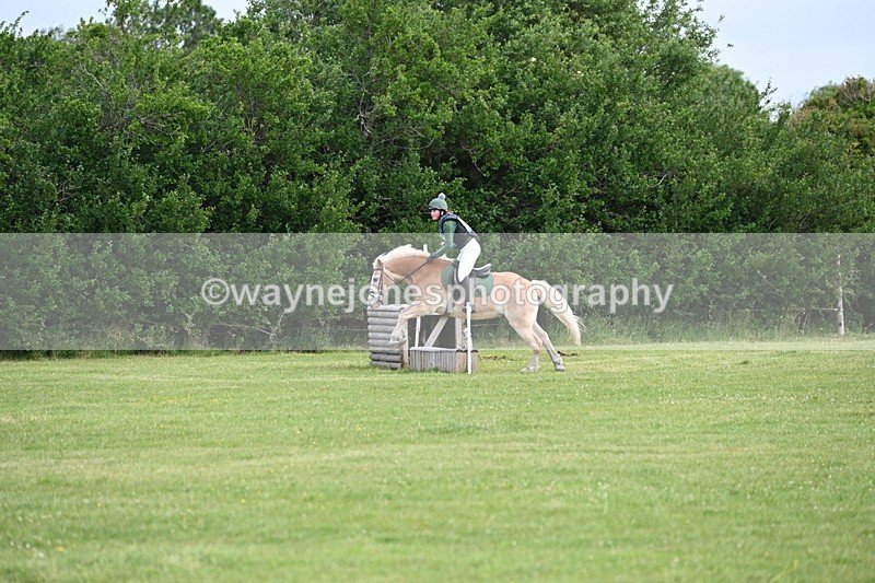 WJ6_2260 - Class 2 40cm