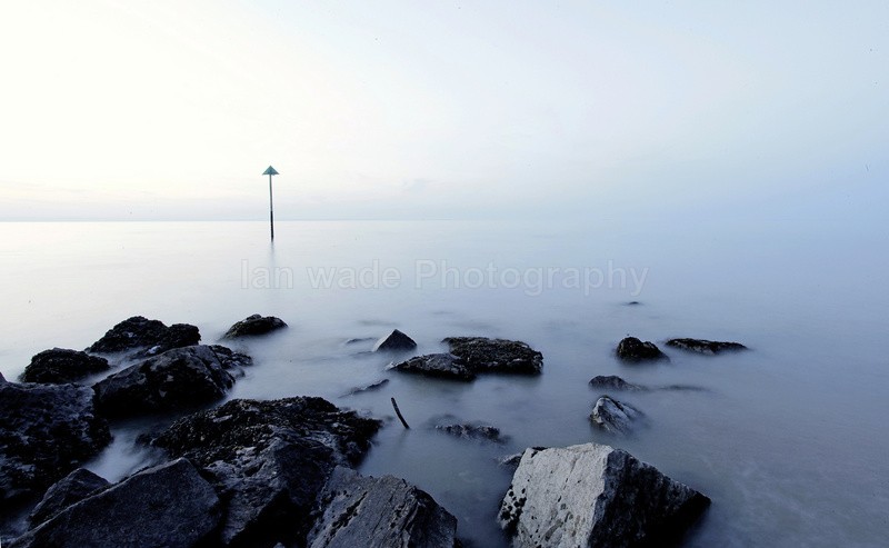 - Coastal Wildlife, Great Britain