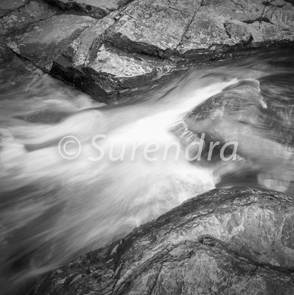 Water12 - Water  水