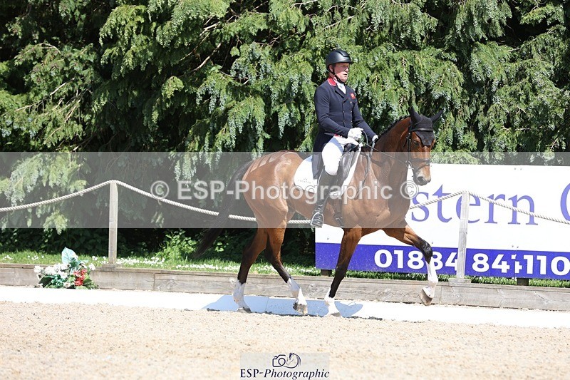 230526-144934-06555 - 375-FINLEY_DU_LOIR-Oliver_Townend-WEDTrotUp+DR