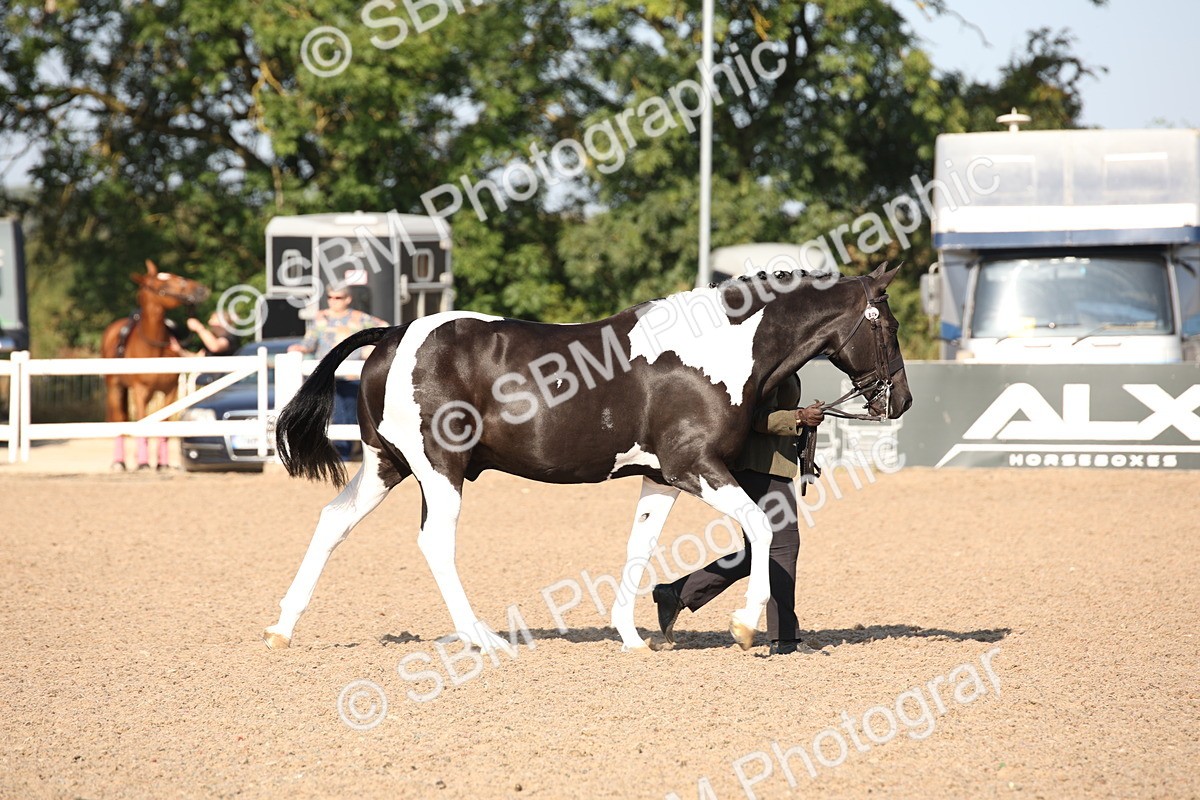 SBM_01420 - Class 15 IH Coloured