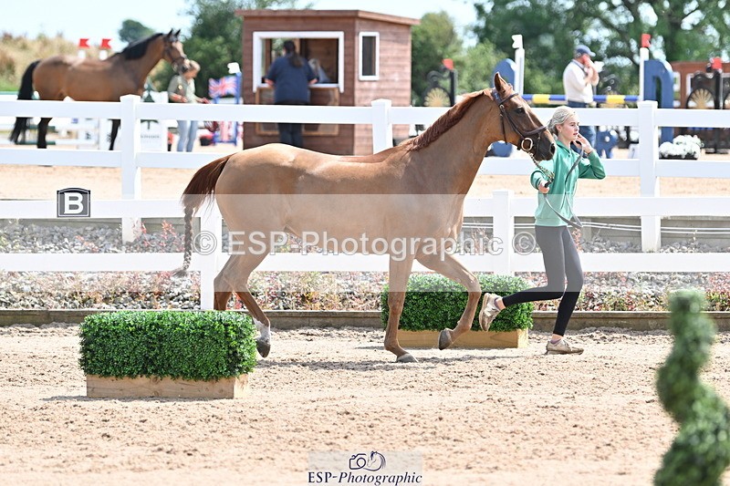 240717A-144951-02326 - Trot Up 2pm to 3pm - This folder is not in time order