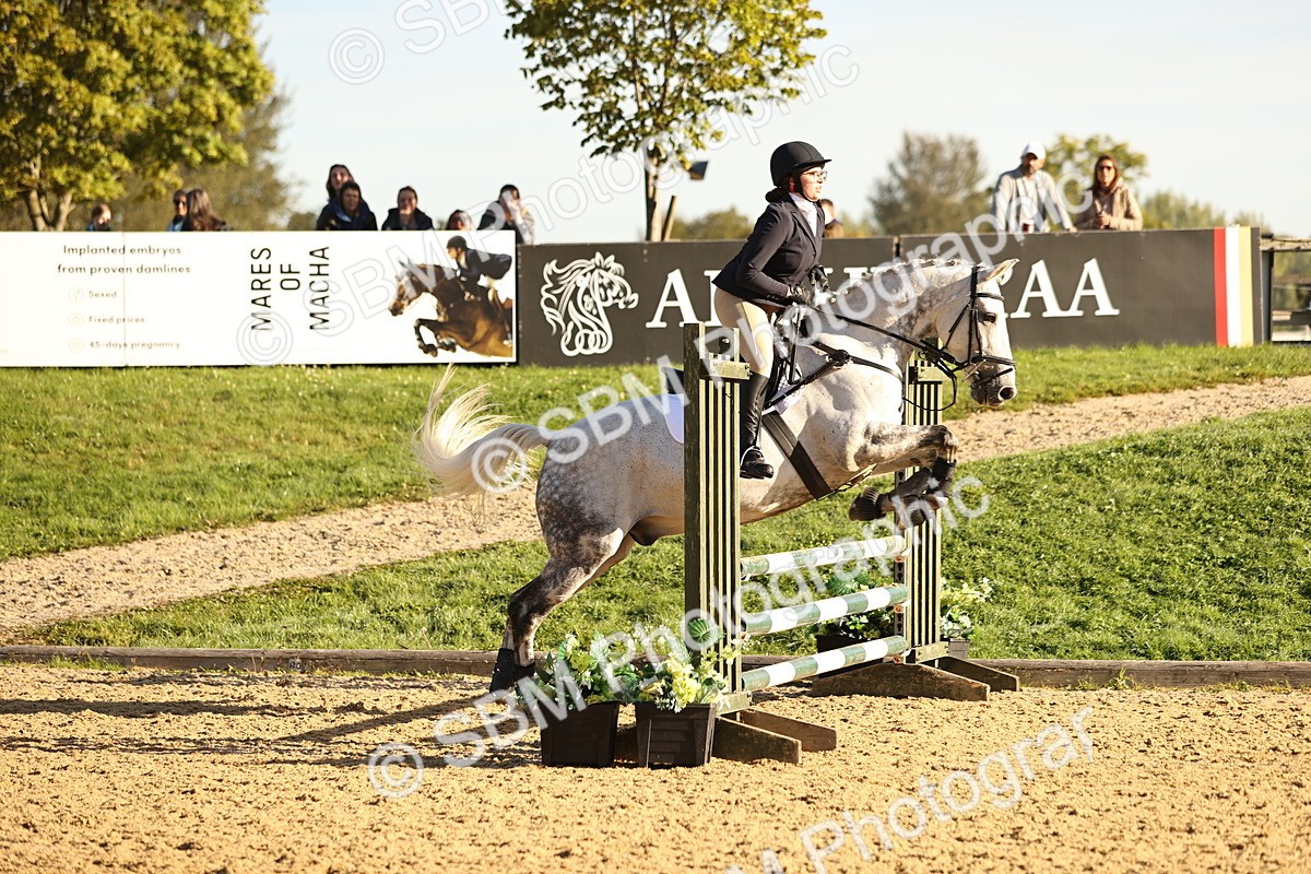 SBM_34636 - J38 - Senior 80cm Championship