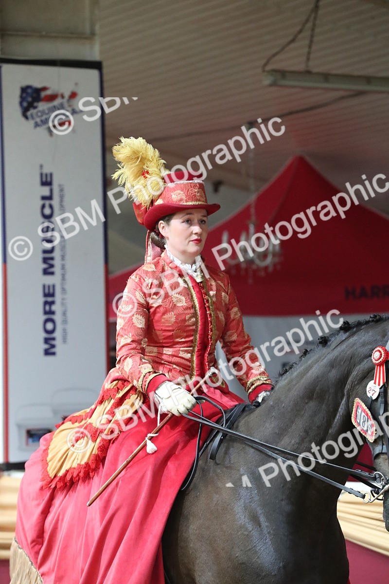 SBM_12101 - Class 107 Ridden Costume- Astride Adult (20+)