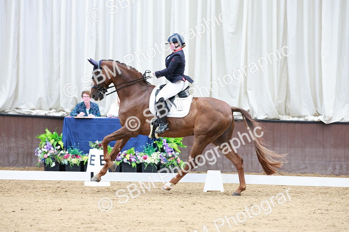 SBM_017943 - Class 15 - FEI Junior