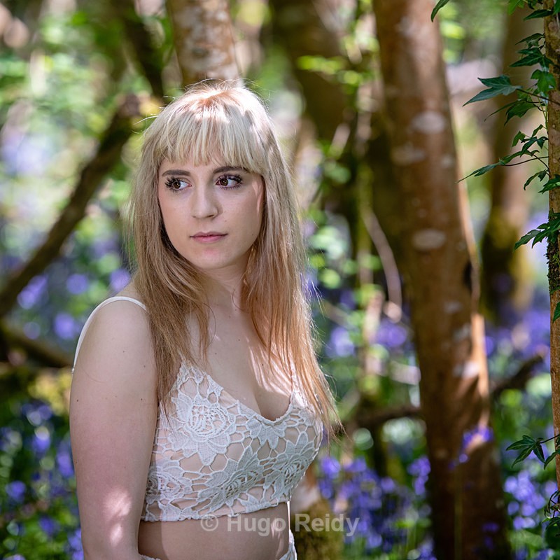  - Dalilah in Bluebells