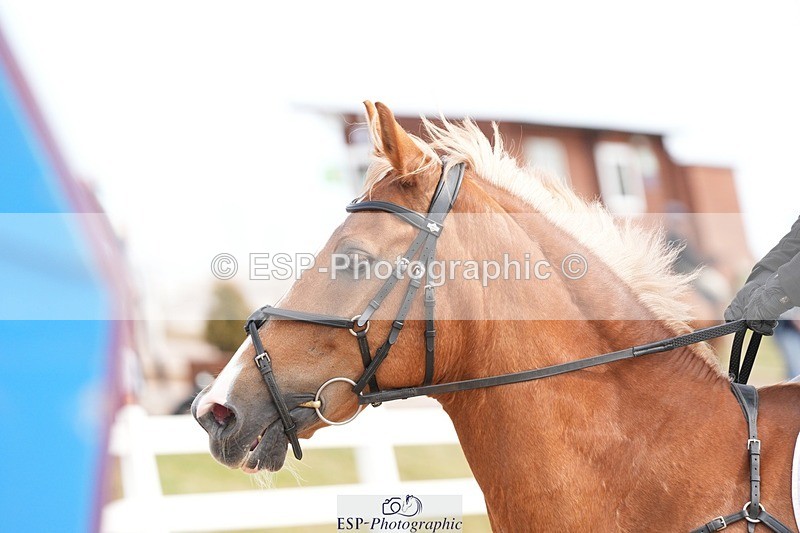 250715-163458-00188 - 70cm