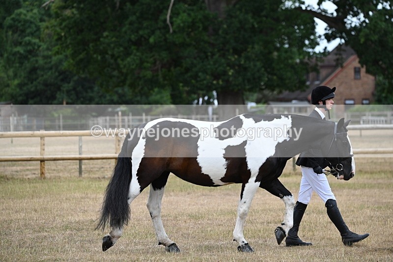 WJ6_7833 - Class 10 Coloured in Hand