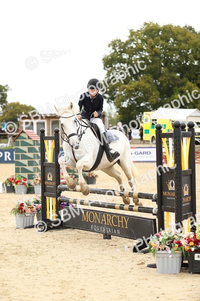 SBM_63153 - Supreme championship 75cm 80cm