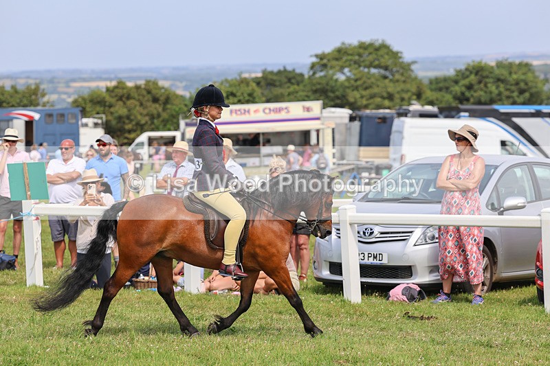 IMG_3733 - M & M Ridden Championship
