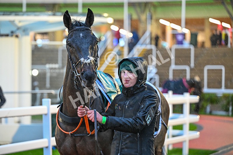 141125-Race 6-Lucky Bere-1108 - Race 6