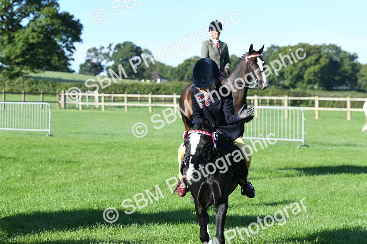 SBM_34073 - S16 - Condition & Turnout - Ridden