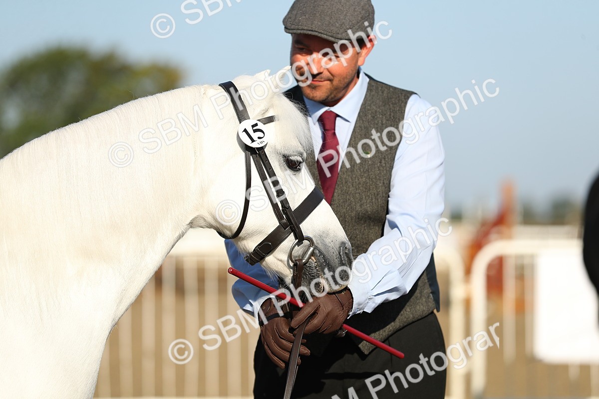 SBM_00033 - Class 40 Best Turned Out IH