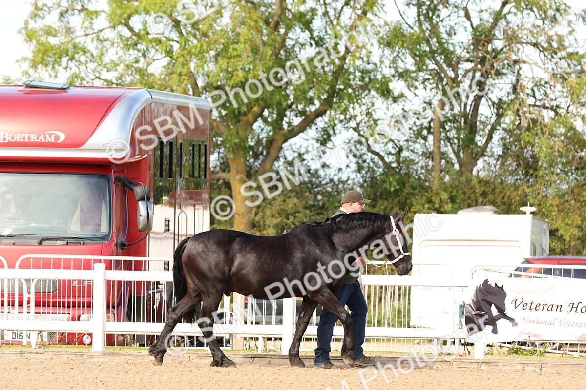 SBM_17984 - Class 707 - IH Groom - Helpers Glass