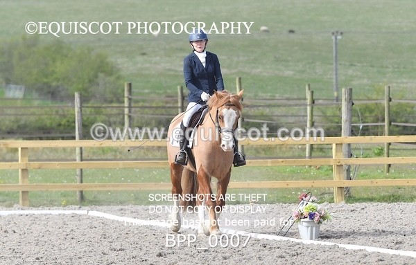 BPP_0007 - MY QUEST NOVICE 2