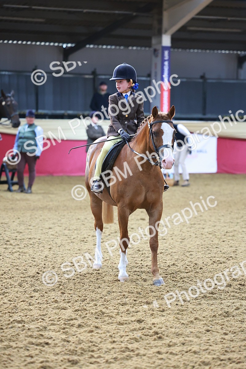 SBM_07739 - Class 101 - HOYS Veteran Qualifier - Ridden Diamond