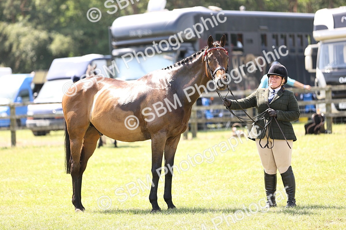 SBM_14964 - Class 78 - LIHS BSHA Open Racehorse & Show Horse