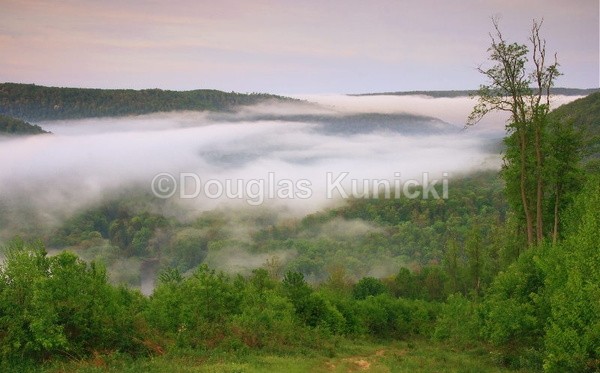 From Above - Allegheny National Forest