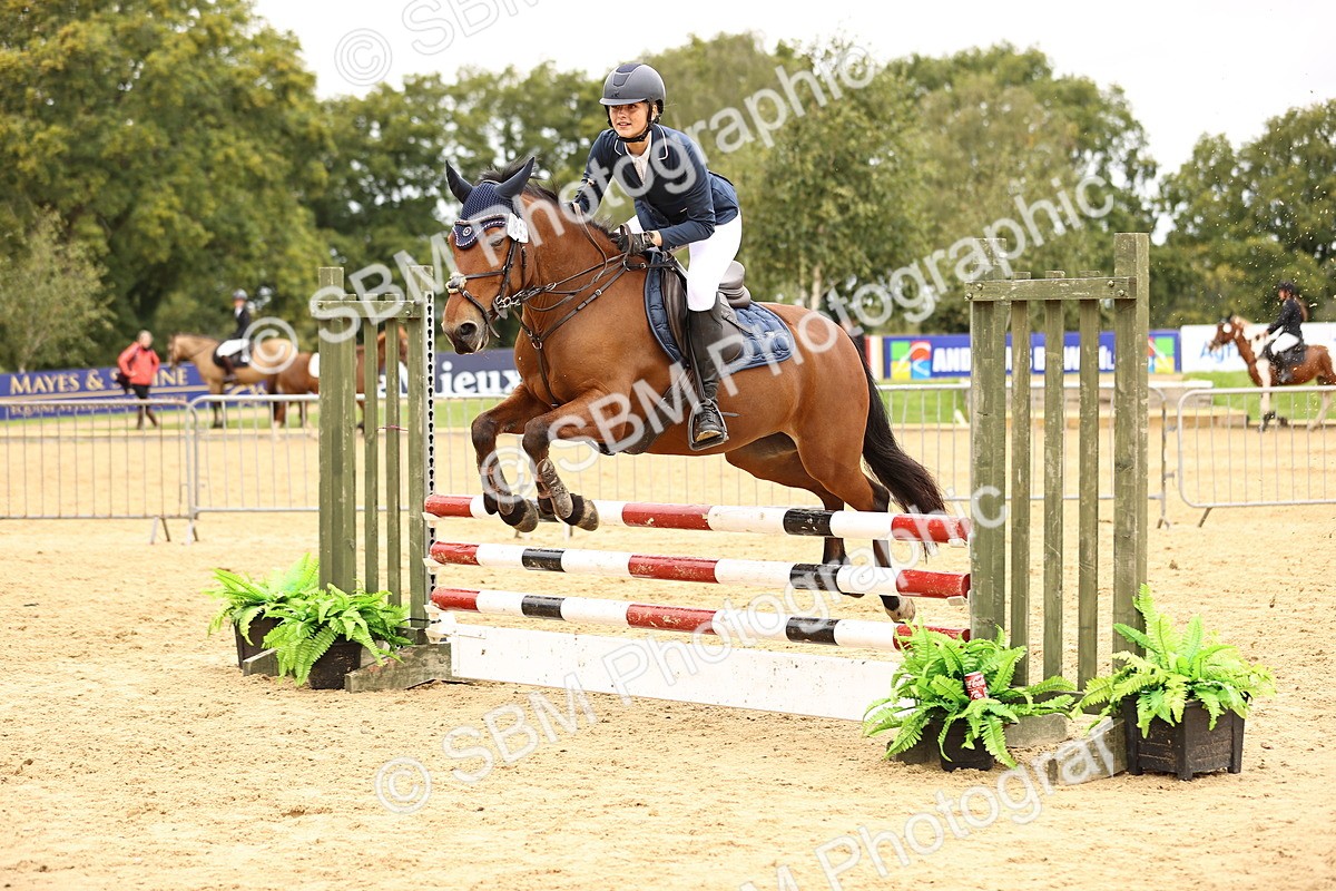 SBM_65631 - J17 - Junior Pony 80cm Championship