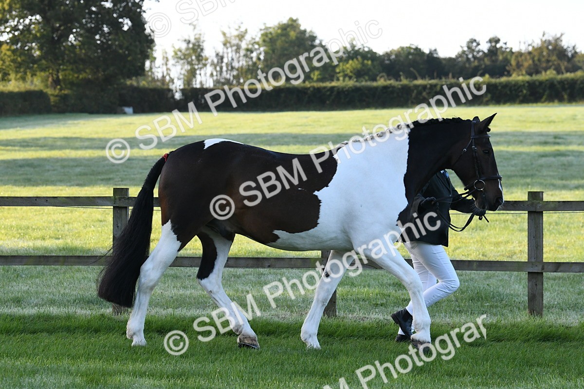 SBM_32579 - S15 - Condition & Turnout In Hand