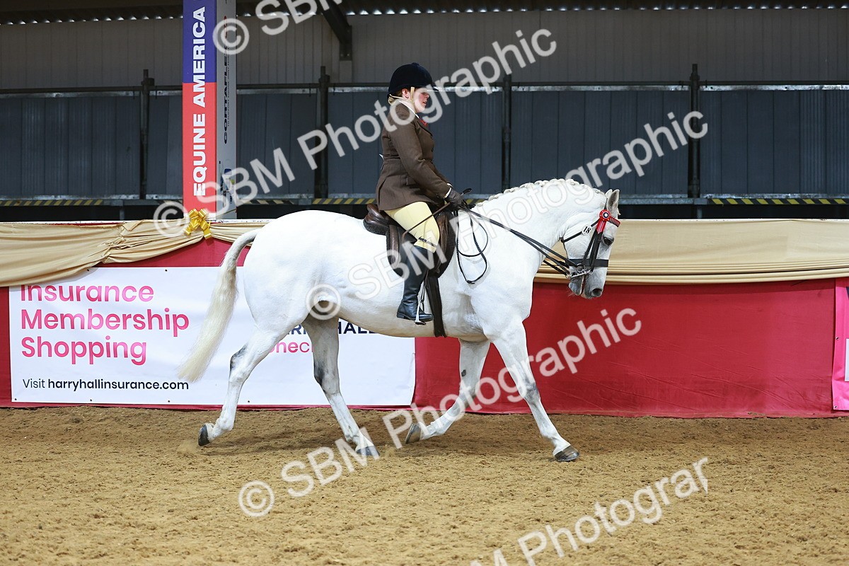 SBM_12467 - Class 103 - HOYS Veteran Qualifier - Ridden Pre Vet