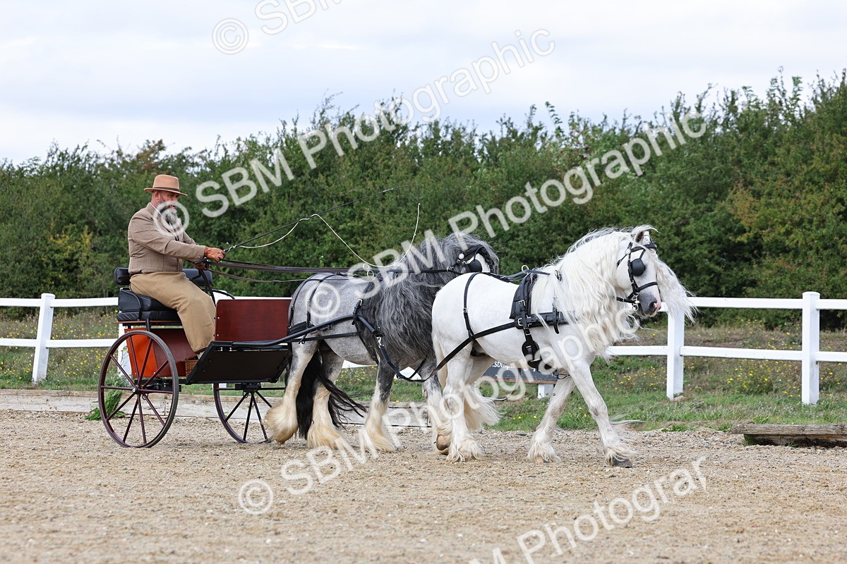 SBM_001135 - Class 16 - Pairs ,Multiples and Tandems
