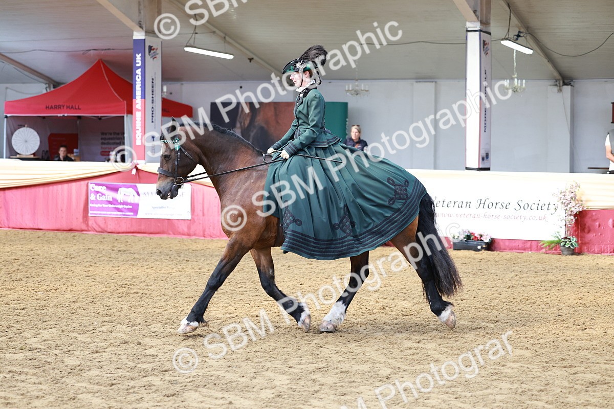 SBM_14821 - Class 107 - Ridden Costume - Astride Adult  (20+)