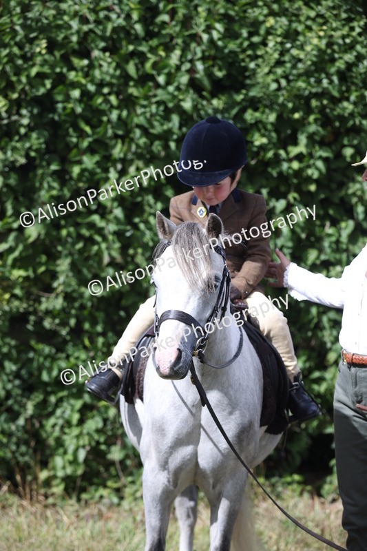 20250831-2716 - Class 17 - Lead Rein Pony