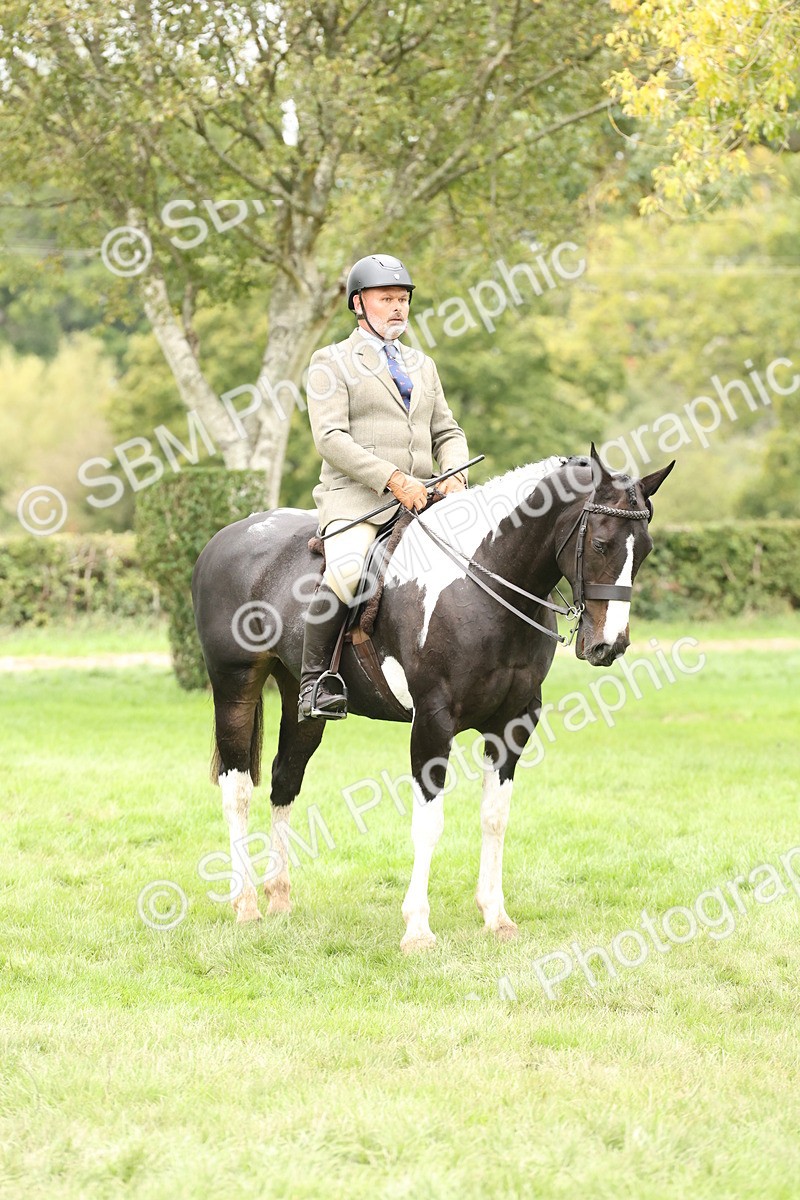 SBM_67293 - S67 - Piebald & Skewbald Horse Ridden