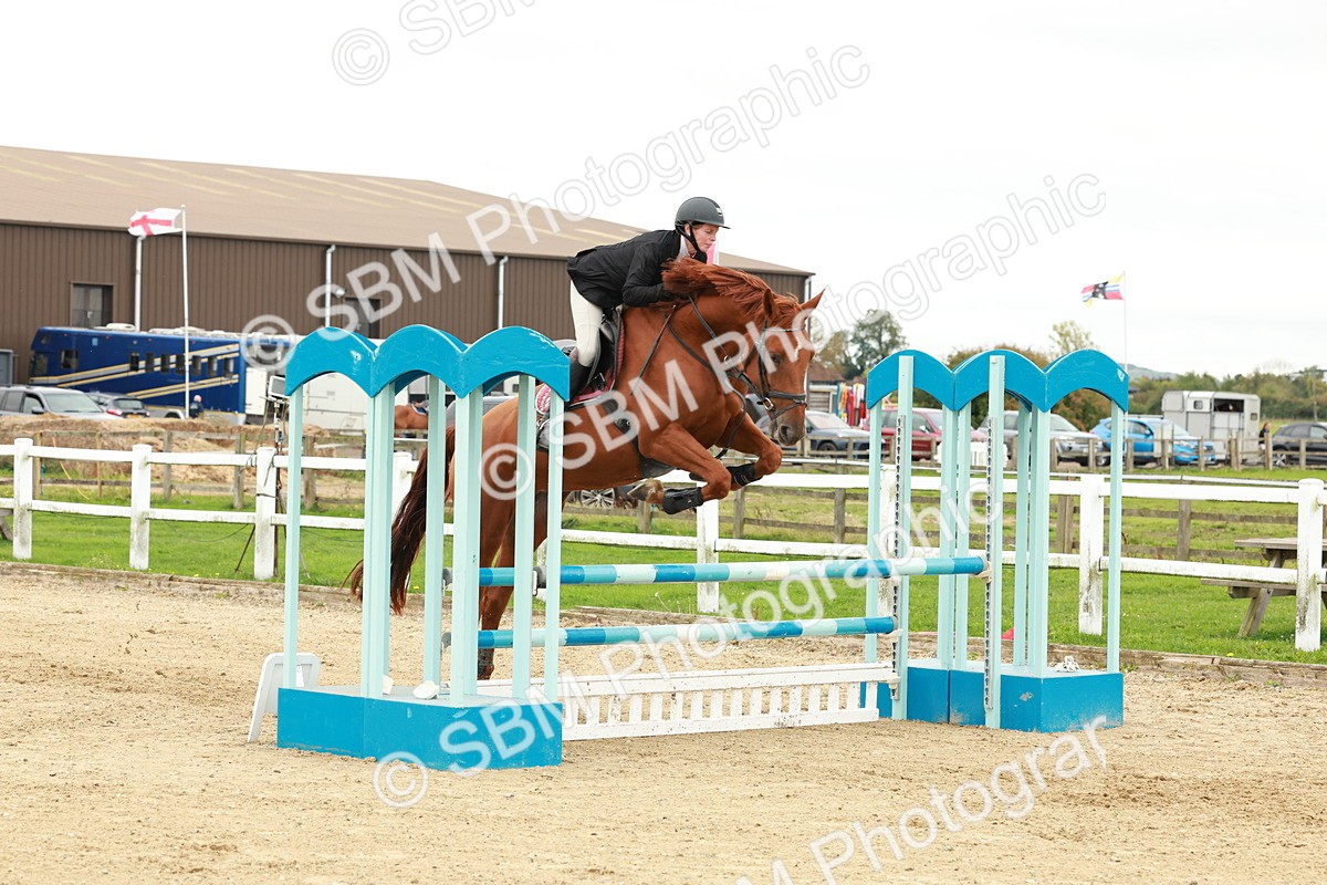 1I0A7128 - Class 2 - Senior British Novice