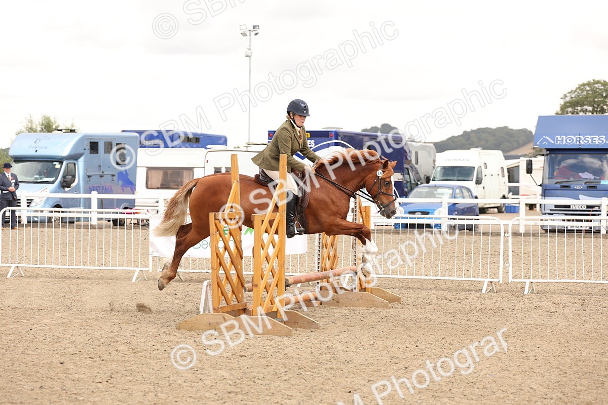 SBM_06790 - Class 58a -  Style & Performance - 70cm (15-19)