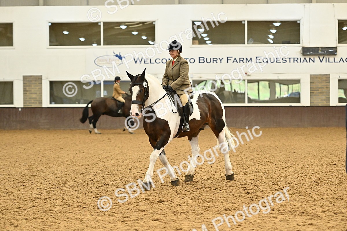 SBM_002023 - Class 21 - BSHA Ridden Show Cob