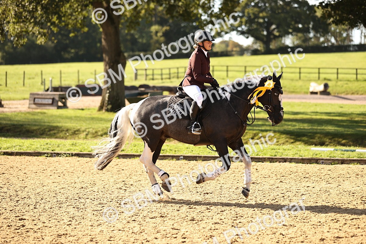 SBM_35231 - J38 - Senior 80cm Championship