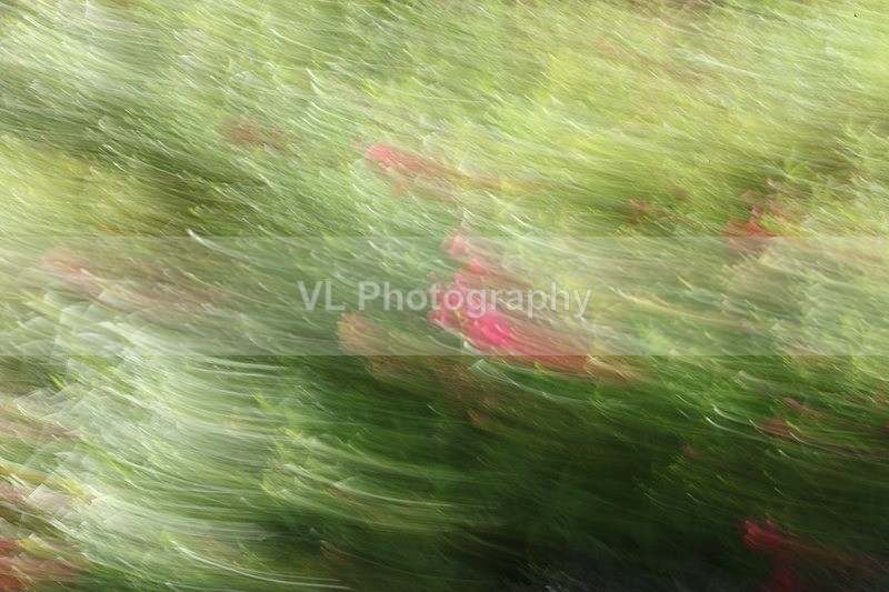 Ambition - ICM