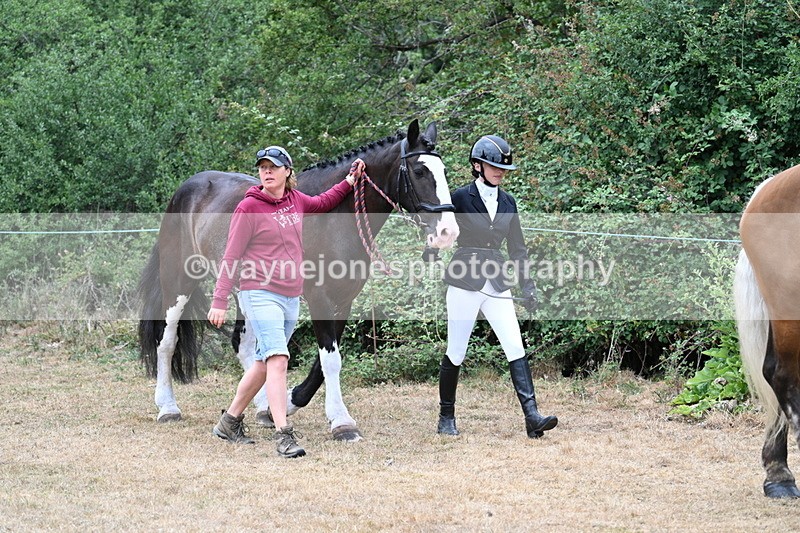 WJ7_8628 - Class 4a Prettiest Mare 14.2hh and over