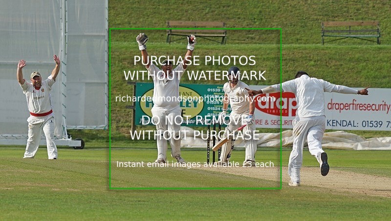 DSC04823 - Cricket Images 2019