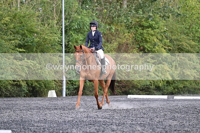 WJ7_7847 - Time 13:40 to 14:00