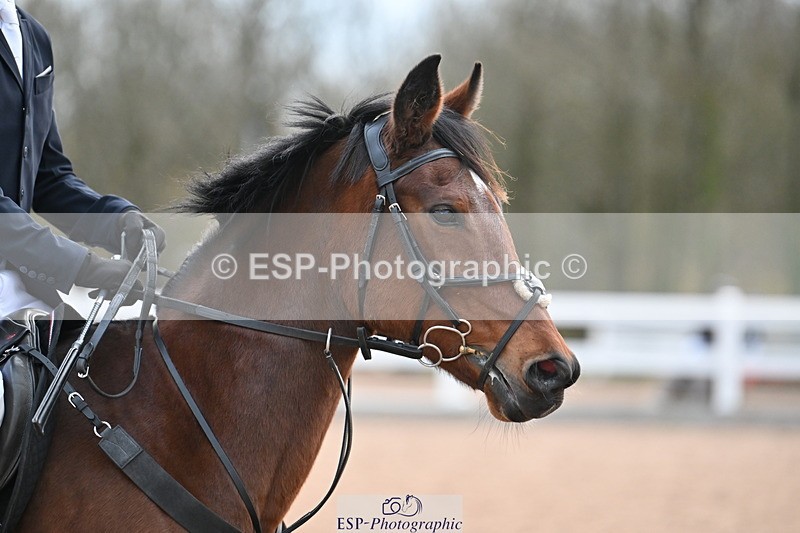 231119A-093941-04693 - Sun Cls 3 BlueChip Pony Discovery Qualifier