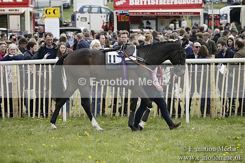 PtP 170417 209 - Old Berks Point-to-Point Lockinge 17/04/17