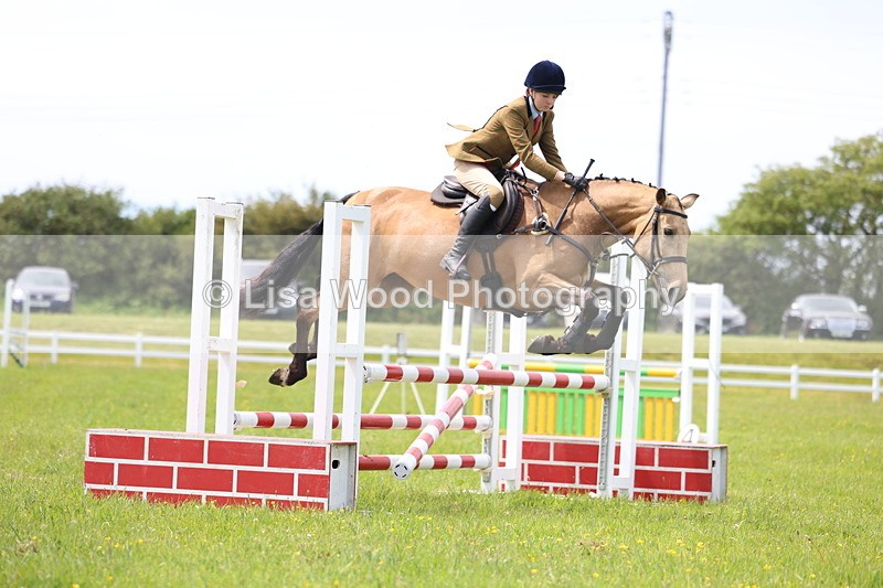 3E7A1423 - Class 13: Senior British Novice/90cm open
