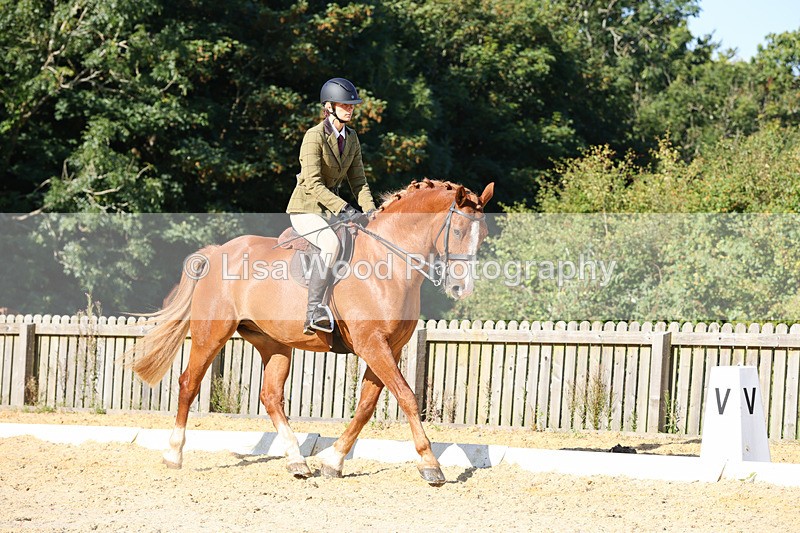 1X9A7704 - Class 9: Open Ridden Hunter