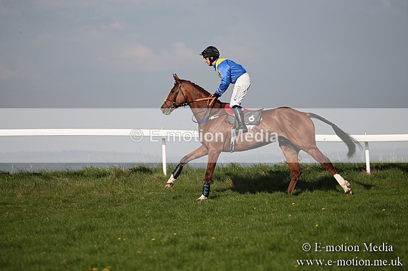 PtP 210418 587 - South & West Wilts Point-to-Point Larkhill 21/04/18