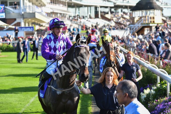 yr08102021r4-10 - Race 4 3.50pm Casumo Dare To be Different Handicap