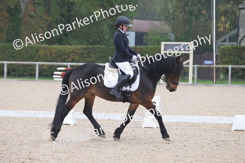 20251012-0443 - Class 3 - Novice 5