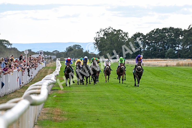070826-Race 6-Great Profit-2109 - Race 6 16.40pm Country Music Night Here Next Friday 14th August Handicap