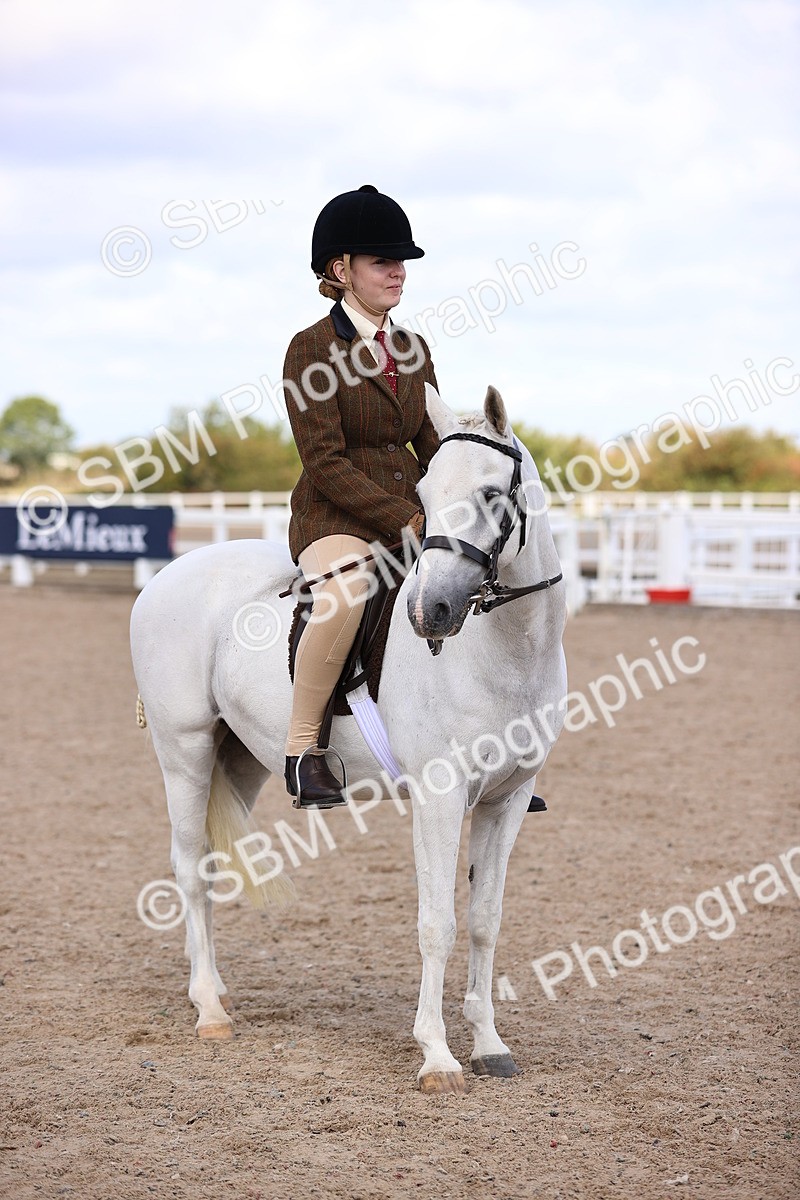 SBM_11647 - Class 408 - Grassroots Ridden - Walk & Trot