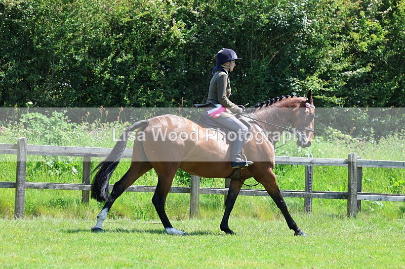 3E7A8047 - Working Hunter Championship