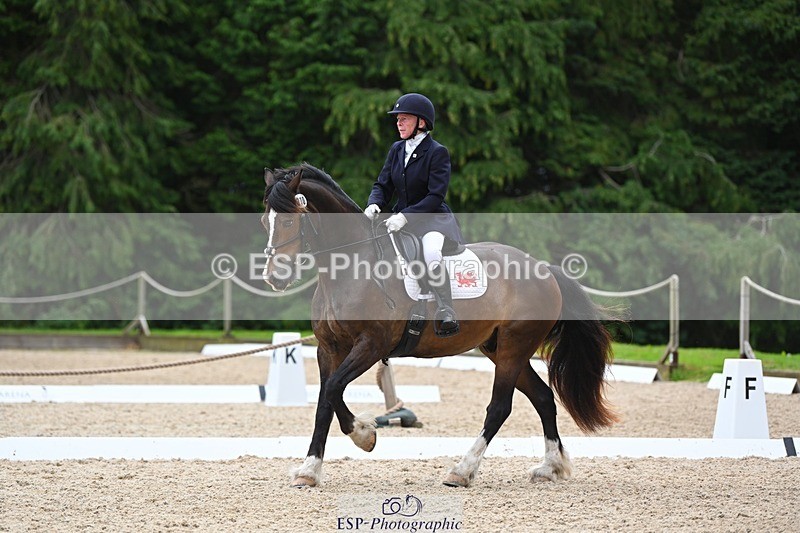 230813-140804-07682 - Cls 13 Medium Bronze 13.15 to End