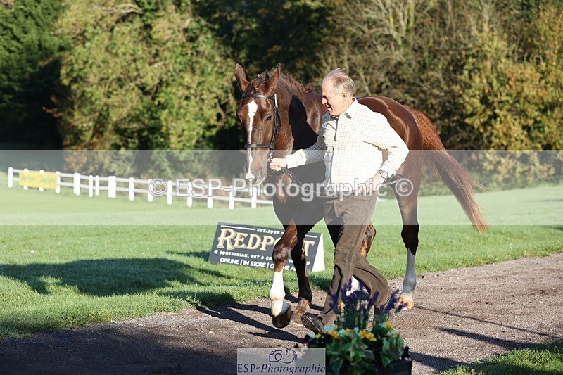 241027-084506-14795 - 315-Andrew.Winterton-STALLONE