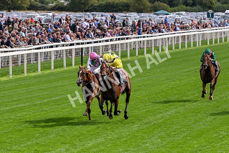 190826-Race 4-Item-0459 - Race 4 15.35pm Juddmonte International Stakes